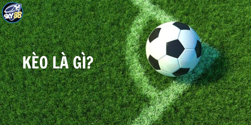 Trò chơi chọi gà cấp độ Fun789 - Fun789