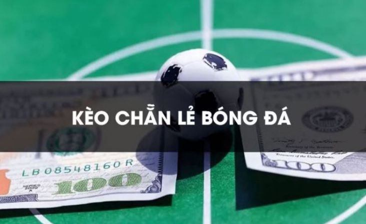 Đăng nhập vào tài khoản thành viên Tf88 của bạn - Tf88