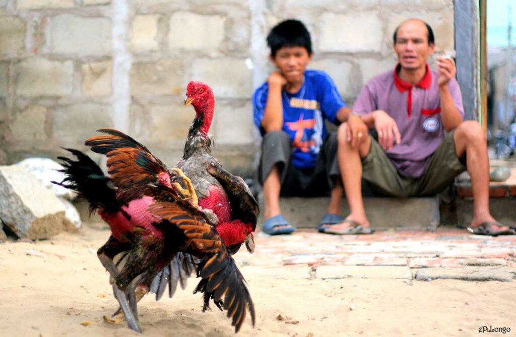 Khuyến mãi đặc biệt hàng ngày của Fi88 - Fi88