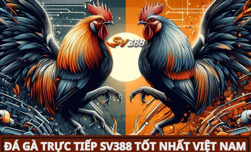Tại sao nên mở tài khoản trên trang web game Hq88? - Hq88
