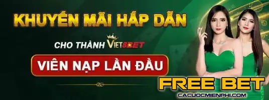 Chương trình này được cung cấp cho người chơi khi chơi các trò chơi cấp độ Betvisa có giá một đô la - Betvisa