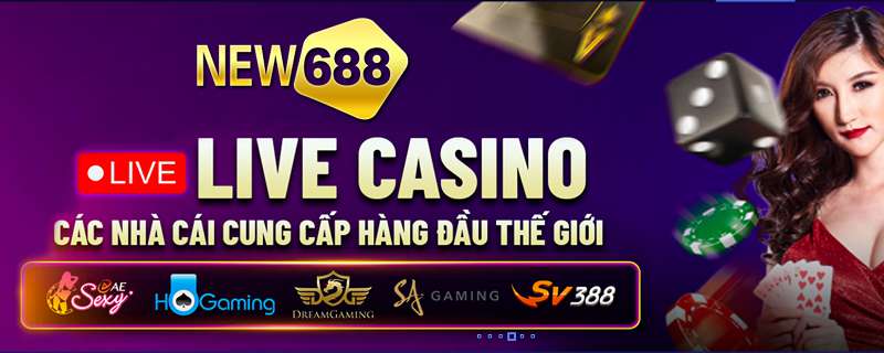 Tóm tắt hoạt động quảng bá của Công ty Bongdalu Games - Bongdalu