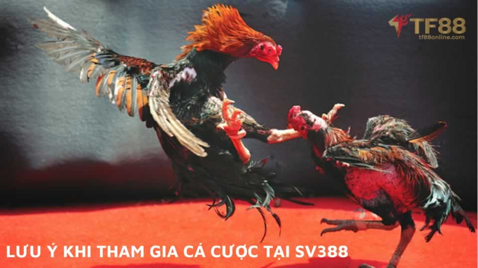 Tổng quan về Cổng game Mibet – Mibet tặng thưởng 88k - Mibet