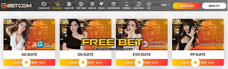 Hướng dẫn xem bóng đá trực tiếp trên kênh V6bet TV - V6bet