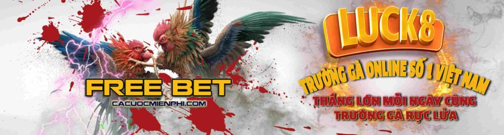 Câu lạc bộ Melbet – Thế giới trò chơi - Melbet