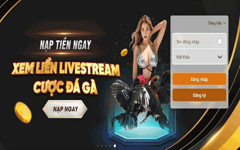 Điểm truy cập chính của nền tảng Dv88 là tốt nhất - Dv88