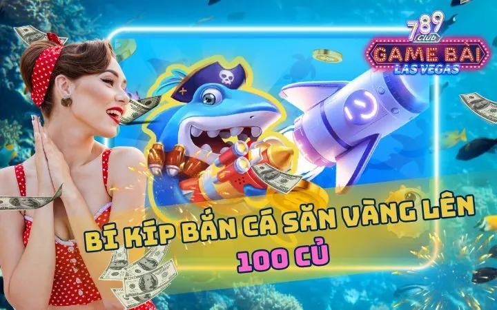 Quá trình phát triển và thiết lập một nền tảng trò chơi trực tuyến cấp độ B88 - B88