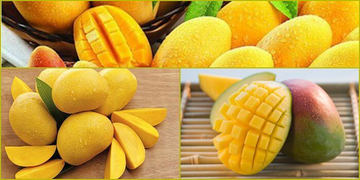 Tốc độ rút tiền của Gowin có nhanh không? - Gowin