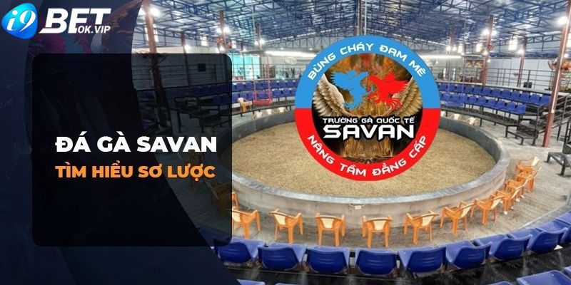 Hướng dẫn dành cho người chơi cá cược tham gia các trang web cá cược Melbet - Melbet
