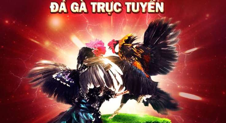 Tất cả các địa điểm giải trí này đều nằm trong khu vực Bwin - Bwin