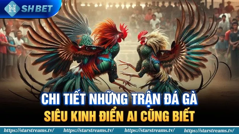 Hướng dẫn cách truy cập tài khoản người chơi cấp 24N để đăng nhập nhanh hơn - 24N